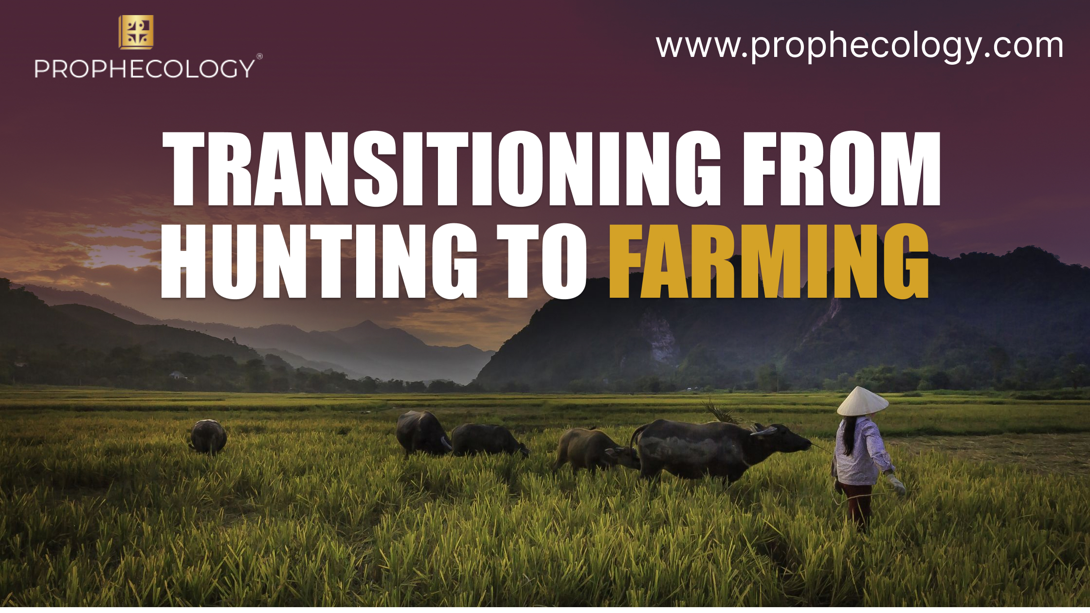 transitioning from hunting to farming, farming, from hunting to farming