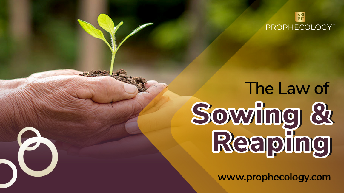 Sowing, sowing and reaping, the law of sowing and reaping