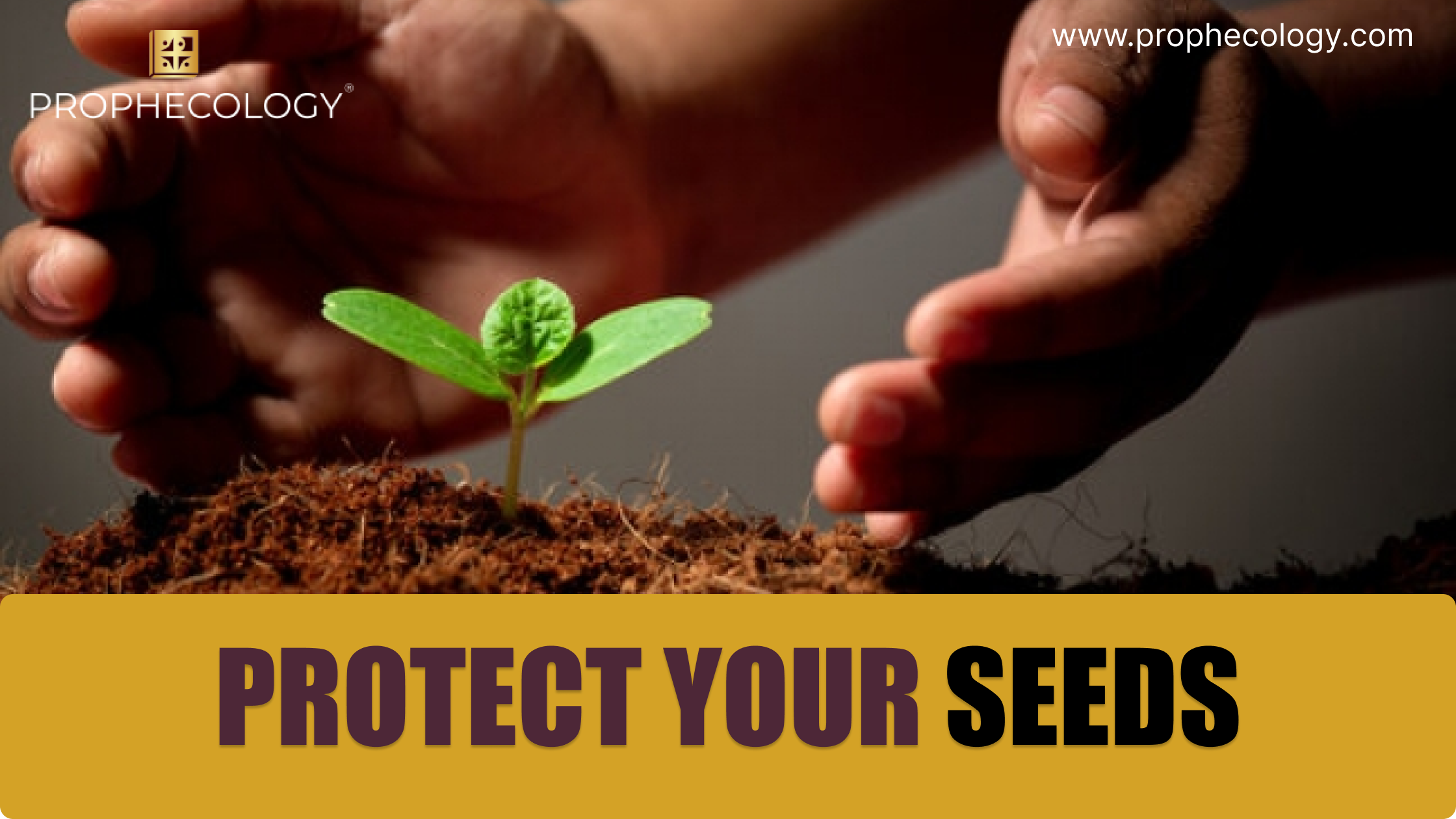 Protect Your Seeds, Protect growing seeds, Seeds