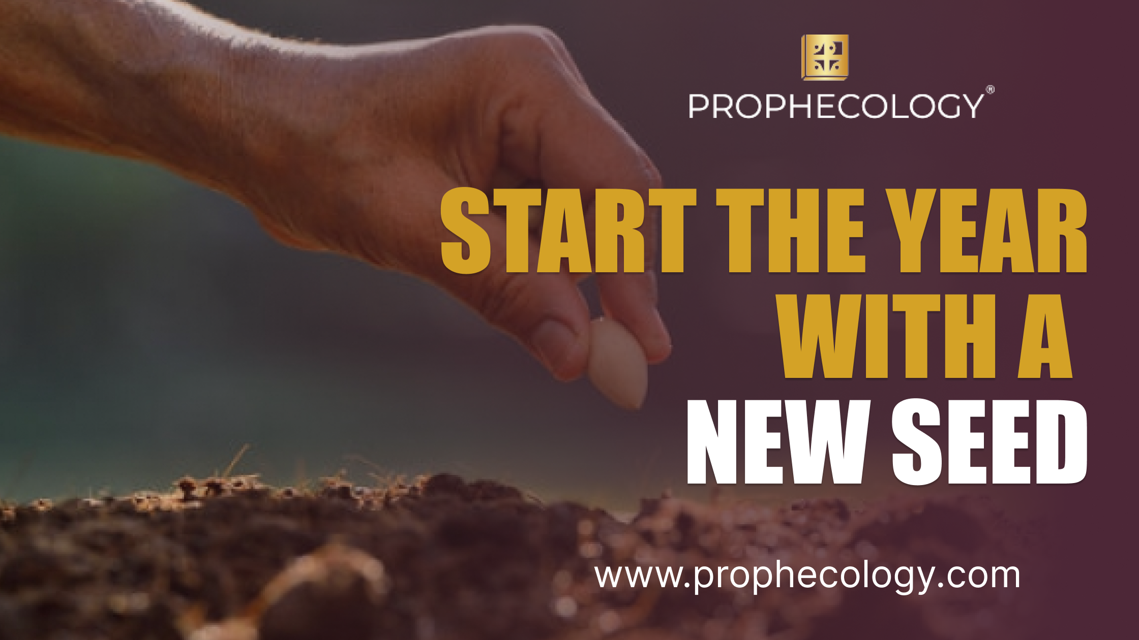 A new seed, Start the year with a new seed, new seed