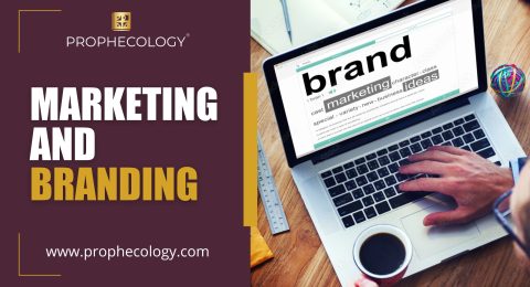 Marketing-and-Branding