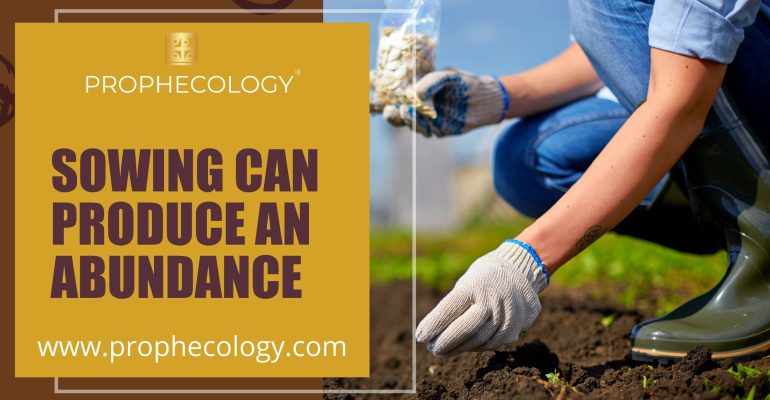 Sowing-Can-Produce-Abundance
