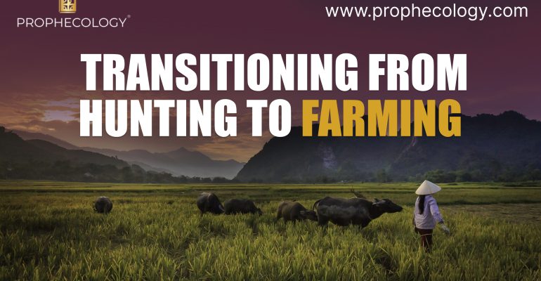 Transitioning-from-hunting-to-farming