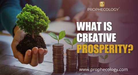 What-is-Creative-Prosperity