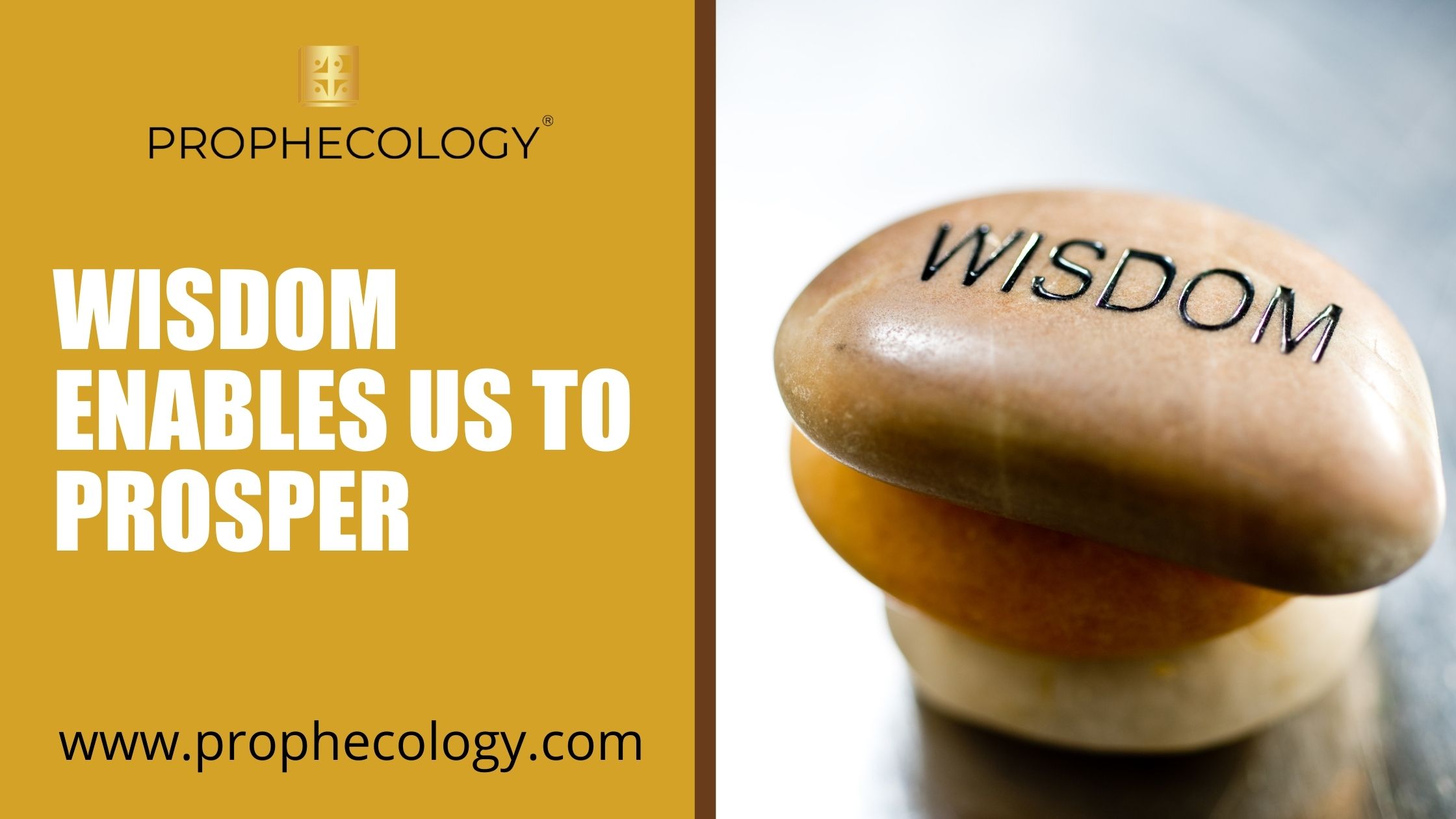 WISDOM ENABLES US TO PROSPER